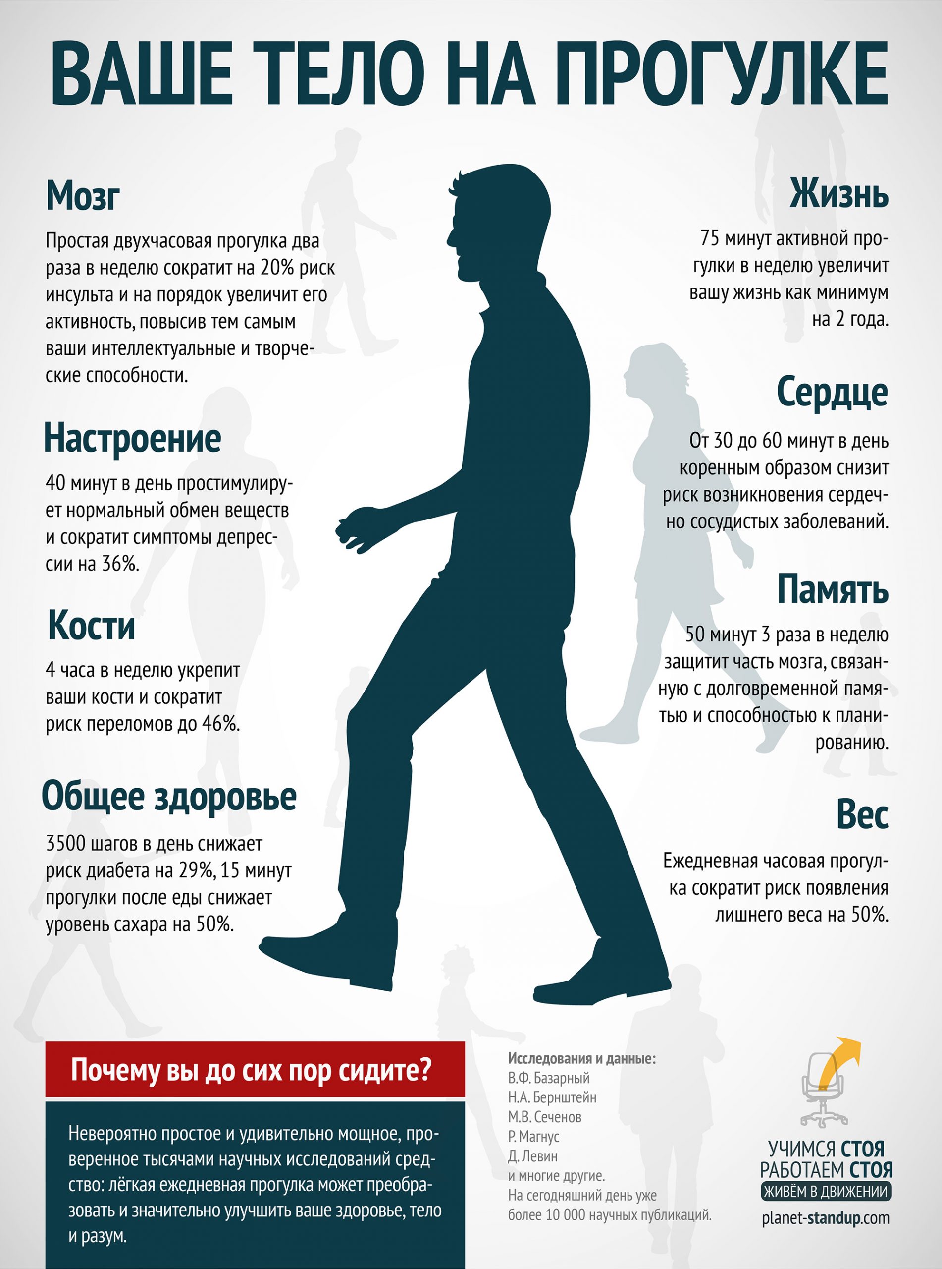 Инфографика: ваше тело на прогулке