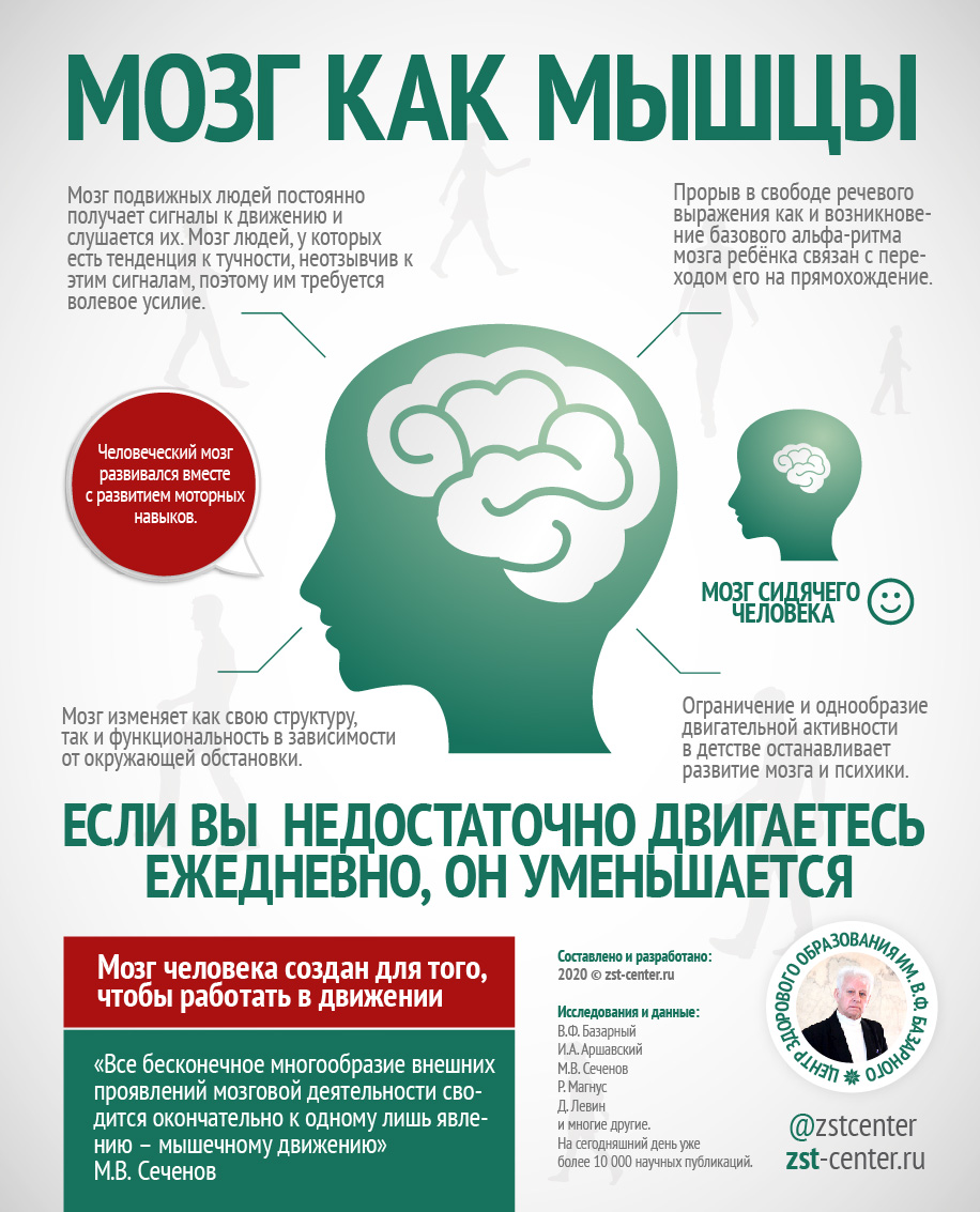 Инфографика: мозг как мышцы